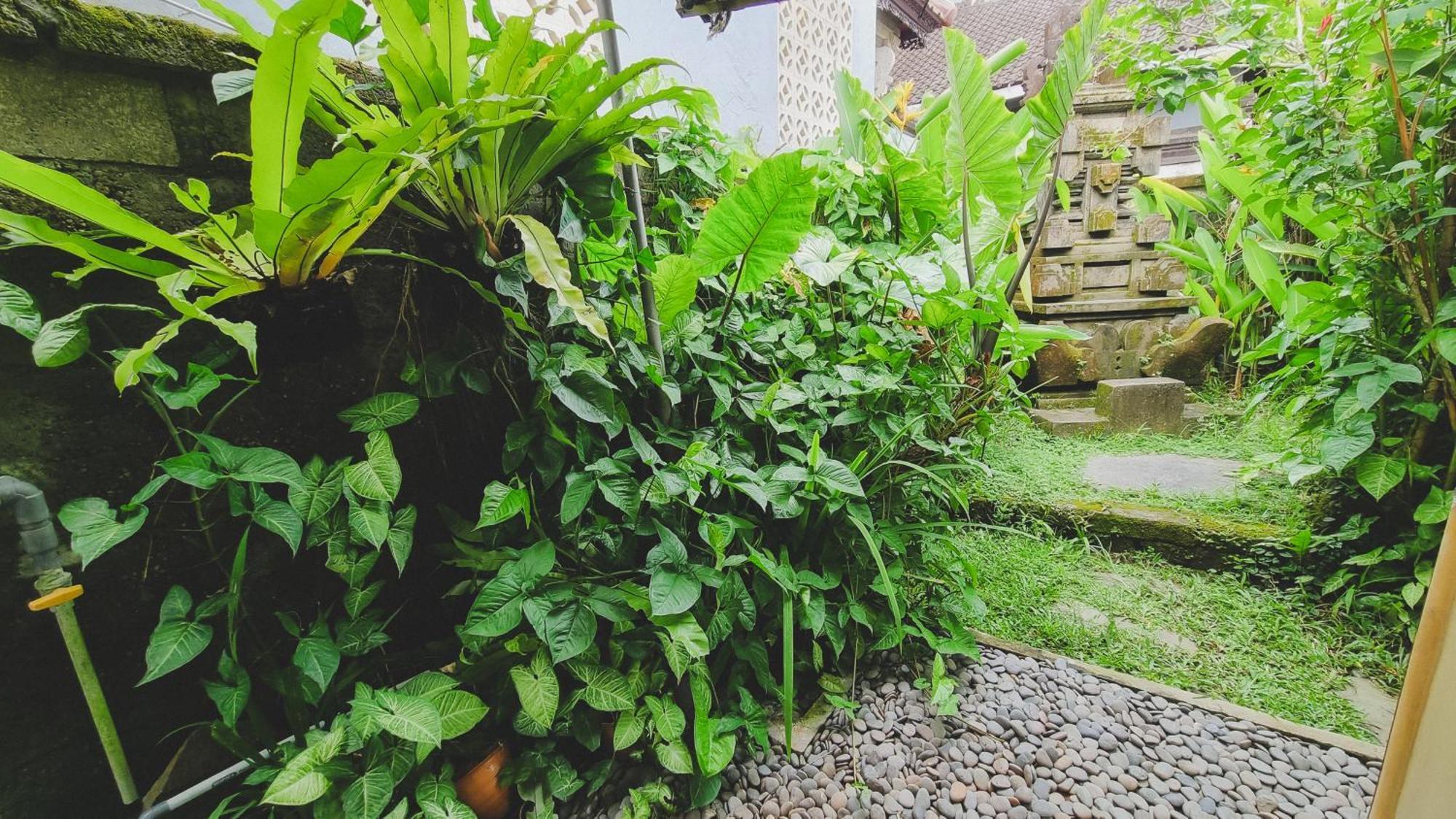 Aura Guesthouse Ubud  Bagian luar foto
