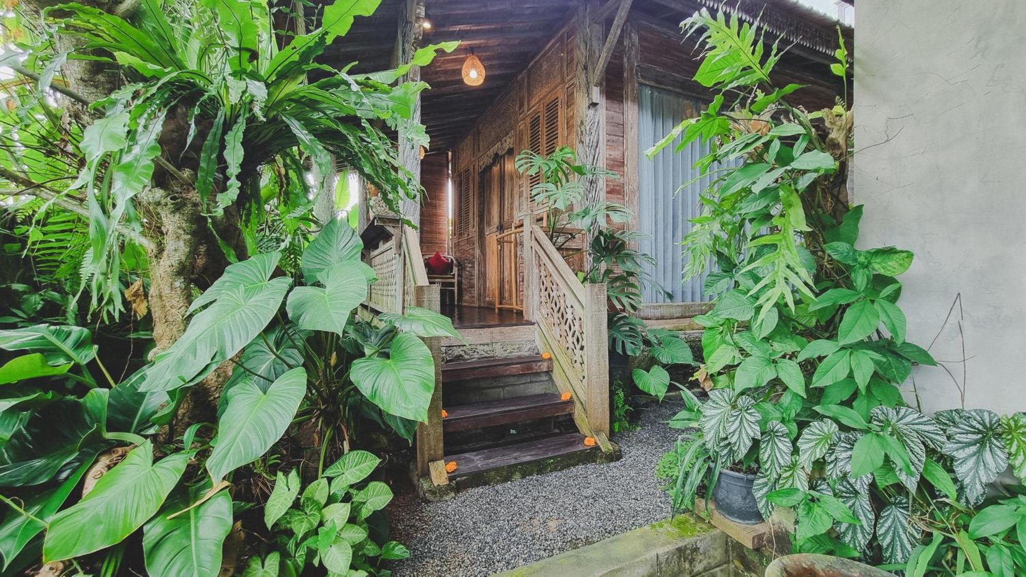 Aura Guesthouse Ubud  Bagian luar foto