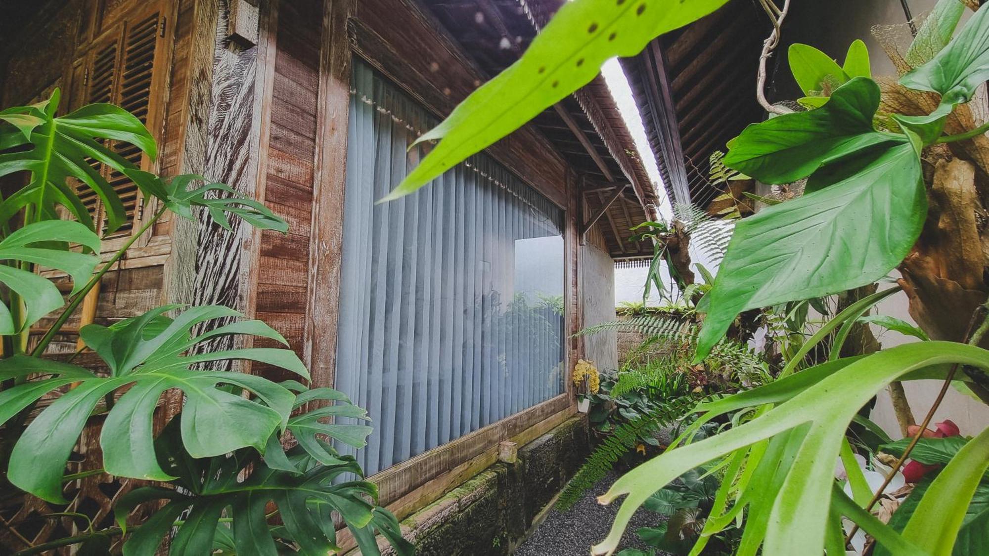 Aura Guesthouse Ubud  Bagian luar foto